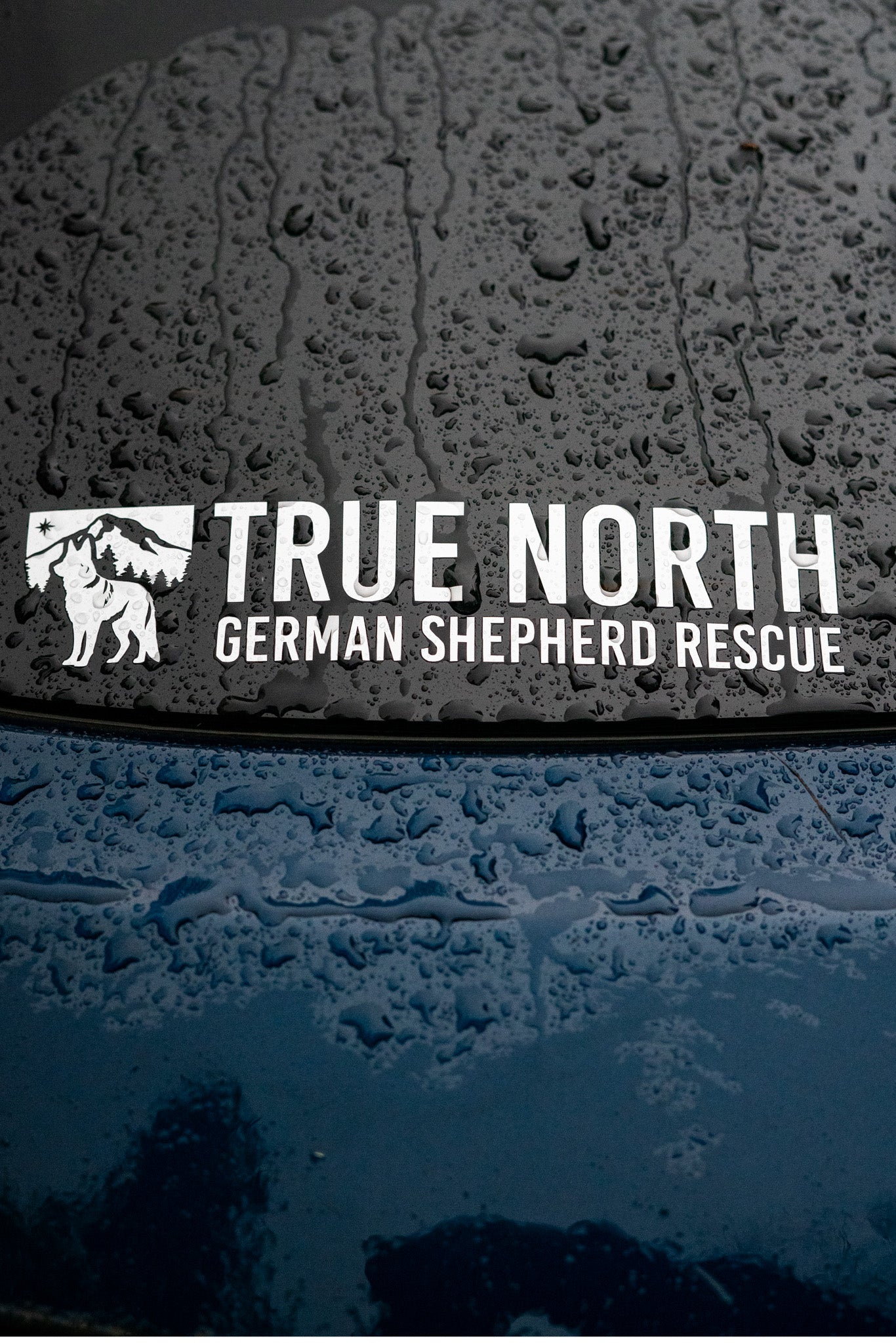 True North GSD Rescue Decal